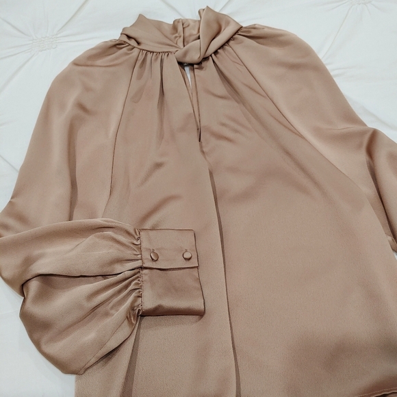 Zara satin champagne bronze long sleeve blouse with buttons. Size S - Picture 5 of 11